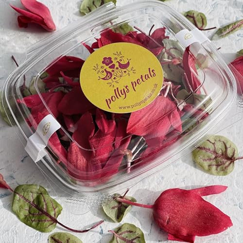 Edible Flowers - 'Robyn' Freeze Dried Red Bolivian Begonia with Red Vein Sorrel Leaf - Certified Food Grade (555)