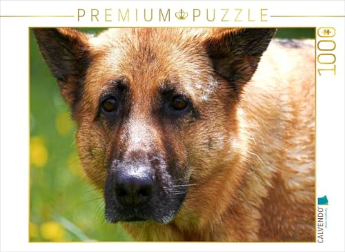 CALVENDO Puzzle Liebeserklärung an den Schäferhund | 1000 Teile Lege-Größe 64 x 48 cm Foto-Puzzle für glückliche Stunden