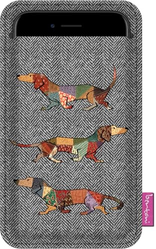 BERTONI Handyhülle aus Filz Handy Hülle Handytasche Etui 100x175 mm Schutzhülle Tiermuster (ED21 Jocker)