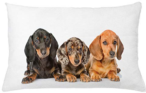 ABAKUHAUS Dackel Kissenbezug, Hunde Lays, Seitenschläferkissenhülle ohne Kissen mit Reißverschluss und Beitseitigem Druck Waschbar, 65 x 40 cm, Dunkle Taupe