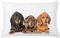 ABAKUHAUS Dackel Kissenbezug, Hunde Lays, Seitenschläferkissenhülle ohne Kissen mit Reißverschluss und Beitseitigem Druck Waschbar, 65 x 40 cm, Dunkle Taupe
