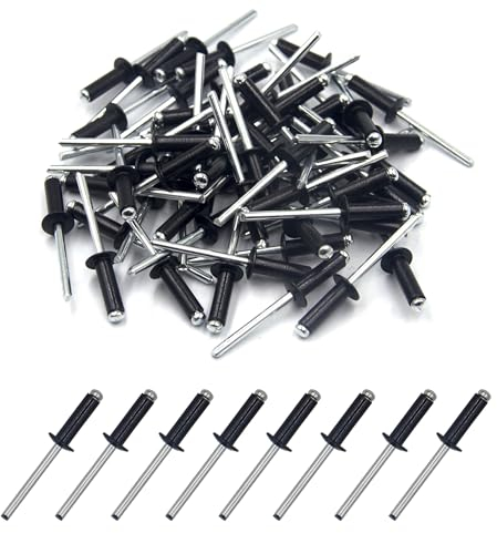 BESTYCHAO 100 Stück Aluminium-Blindnieten, Pop-Nieten mit offenem Ende, Packung mit 100 4.8 x 16mm (Schwarz)