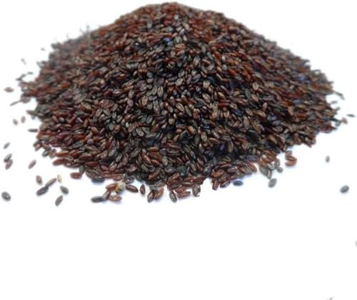 Psyllium Noir - Graine Bio - 100g