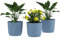 Outsunny Set of 3 Plastic Round Plant Pots Outdoor 22cm, Garden Planters, Flower Pots for Garden Decoration, Patios, Indoor, Outdoor, Home, Blue