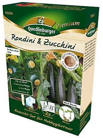 Quedlinburger Saatgut 298007-qb Anzucht-Set Rondini & Zucchini (Anzucht-Set)