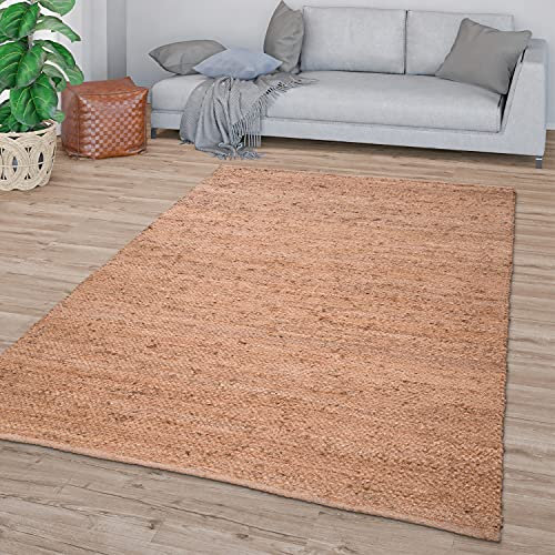 TT Home Wohnzimmer Teppich Handgearbeitet Modernes Sisal Design Mit Bordüre, Farbe:Beige Braun, Größe:300x400 cm
