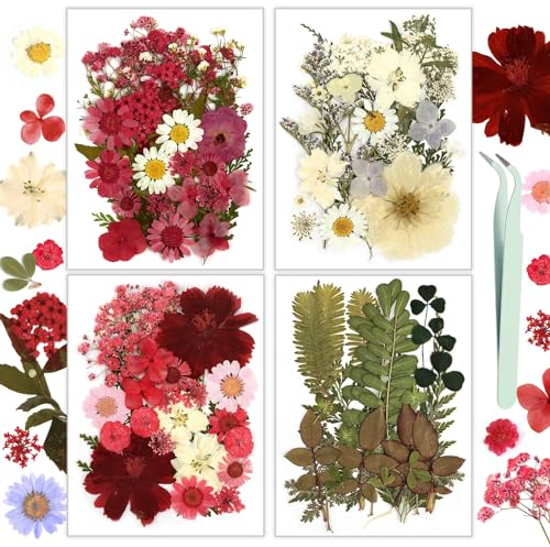 Resiners 100 Stück Rot Getrocknete Blumen Natürliche Gepresste Getrocknete Blumen Blätter für Harz Schmuck Machen, DIY Kerzen, Anhänger, Handyhüllen, Fotorahmen, Bath Bombs, Scrapbook