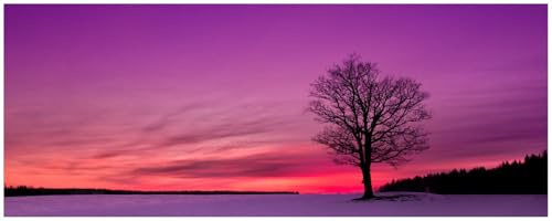 Wallario Küchenrückwand selbstklebend 115 x 50 cm, Motiv: Mond und Baum am Abend bei Schnee | Spritzschutz abwischbar & pflegeleicht