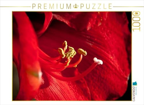CALVENDO Puzzle Amaryllis | 1000 Teile Lege-Größe 64 x 48 cm Foto-Puzzle für glückliche Stunden