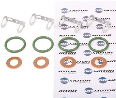 Dr.motor Automotive DRM0419S - Dichtungssatz, Einspritzdüse