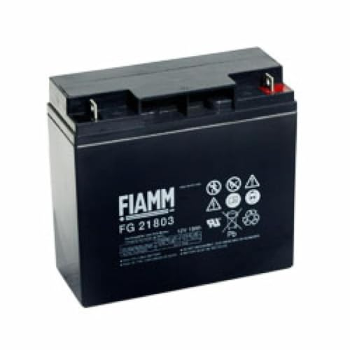 Fiamm FG21803 Batterie 12 V 18 Ah
