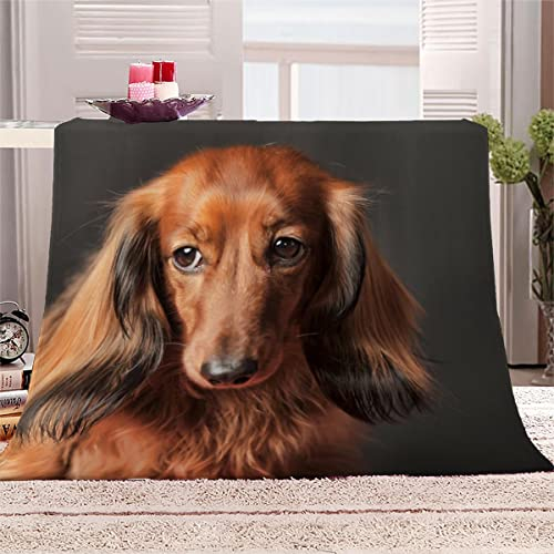 Aolity Kuscheldecke 150x200 cm Langhaariger Dackel Brauner Hund Decke Camping Kuscheldecke Flanelldecke Weich Wohndecke Sofadecke Decke für Kinder Erwachsene Kuscheldecke Draußen