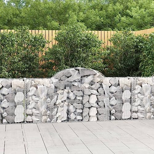 Youuihom Fioriere Da Parete Letto Per Orto Orto Rialzato Orto Terrazzo Fioriere Cesto Gabbione ad Arco 200x30x80/100 cm Ferro Zincato Adatto per Patio, giardini, balconi, esterni