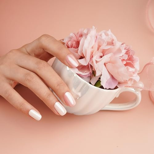 DANNI & TONI 28Pcs Semi Cured Gel Nail Polish Strips Gel Nail Stickers,Salon-Quality Nail Polish Strips Manicure Stickers Set(Shy Rose)