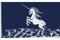 Fahnen Flaggen EINHORN 150 x 90 cm Fahne Flagge