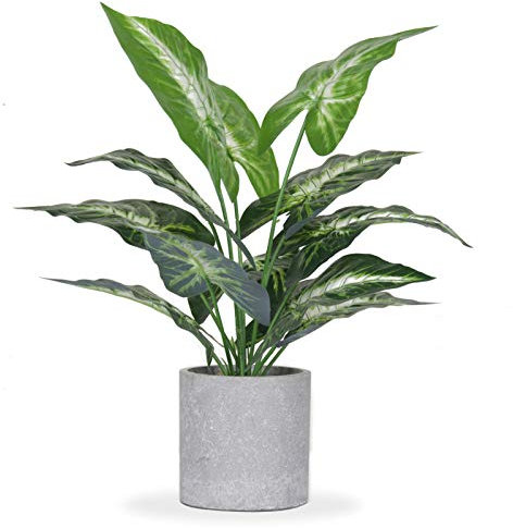 JC nateva Petites plantes tropicales artificielles d'intérieur pour bureau, étagère, salle de bain, décoration d'intérieur 40,6 cm