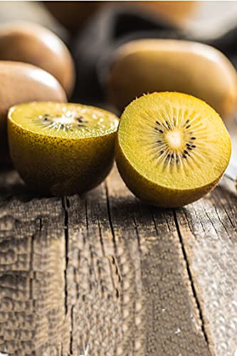 Pianta di Kiwi Giallo Albero di Kiwi varietà Actinidia Deliciosa Golden Femmina pianta di Kiwi in vaso pianta da frutto pianta vera di Kiwi Giallo venduta da eGarden.store
