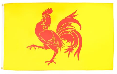 AZ FLAG - Drapeau Wallonie - 90x60 cm - Drapeau Wallon - Belgique 100% Polyester Avec Oeillets Métalliques Intégrés - Pavillon 50 g