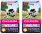 Eukanuba Welpenfutter mit frischem Huhn für mittelgroße Rassen, Premium Trockenfutter für Junior Hunde, 3 kg (Packung mit 2)