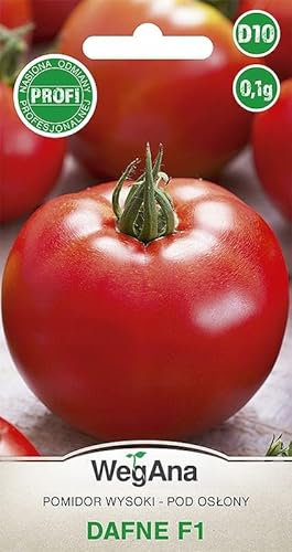 WegAna Tomate Dafne F1 Tomatensamen 0,1g, Mittelspäte Sorte, Robuste Gemüsesamen, Gemüse Samen, Samen Anzucht, Saatgut für Gewächshaus