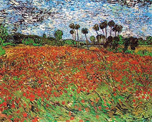 1art1 Vincent Van Gogh Poster Mohnfeld, 1890 Kunstdruck Bild 50x40 cm