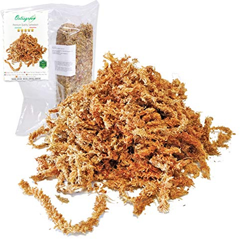 Ortisgreen Premium Quality Chilean Sphagnum Moos 150g, völlig natürlich und biologisch abbaubar. Ideales Substrat für Orchideen, Bonsai und vertikale Gärten.