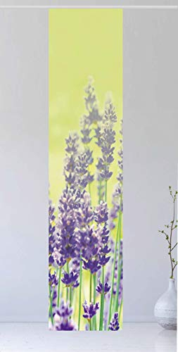 Flächenvorhang Der Lavendel Green, 260 cm hoch, 60 cm breit - Schiebevorhang - Schiebegardine, Tolles Naturmotiv - Ruhe - Entspannung