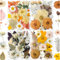 YouthBro 148 Stück getrocknete gepresste Blumen für Harz echte Naturblumen-Kräuter-Set für Weihnachten,DIY,Kerze,Seife,Handwerk,Blumendekorationen, Boho-Stil