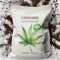 GRÜNE ERNTE Hanf Erde - 40L Bio Erde für Pflanzen - organische Erde Indoor & Outdoor - Grow Erde für optimalen Wachstum - inkl. Perlit für Pflanzen