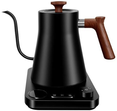 Gooseneck Electric Kettle with Temperature Control, Black, 0.9L