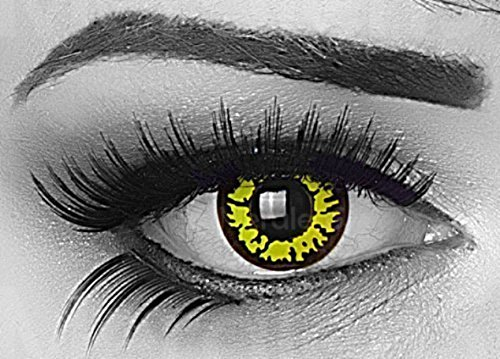 MeralenS ein Paar farbige gelbe yellow Wolf Crazy Fun Jahres Kontaktlinsen mit Rand und gratis Linsenbehälter. Ideal für Halloween, Fasching, Karneval und Fastnacht.