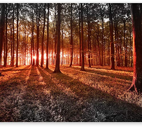 Wallpaper, Wall Mural, 400x280 cm Non-Woven Premium Art Print Fleece Wall