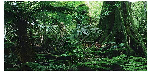 Cikonielf 3D Effekt Regenwald Poster Selbstklebende Reptilien Terrarium Aquarium Hintergrund Aquarium Wandaufkleber Aquarium Hintergrund Unterwasser Poster PVC Dekor Tapete(61 * 41cm)