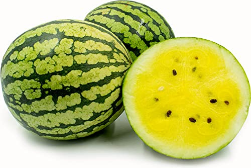 SeedsUP - 30+ Seeds Yellow Flesh Doll Babies Desert King Watermelon (Not Seedless, with Few Seeds) - Fruit