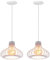 iDEGU 2 Piezas Lámparas de Techo Industriales Lámpara Colgante Estilo Vintage 23cm Pantalla de Metal en Forma de Jaula Negra Luz Colgante para Cocina Comedor Salón Bar Pasillo Restaurante (Blanco)