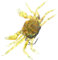 WINOMO Realistic Crab Figurine Models Artifical Plastic Crab Hand Painted Small Crab Figures Realistic Crab Artificial Crab Baits, Crab Lure with Sharp Hooks, fishing gear - bionic swimming bait
