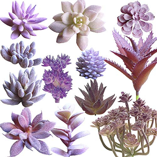 Aisamco 12 Stück Assorted Sukkulenten Pflanzen Unbefleckt Faux Sukkulenten Sortiment in Beflockte Lila Verschiedene Arten Unterschiedliche Größe für Blumenarrangement