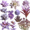 Aisamco 12 Stück Assorted Sukkulenten Pflanzen Unbefleckt Faux Sukkulenten Sortiment in Beflockte Lila Verschiedene Arten Unterschiedliche Größe für Blumenarrangement