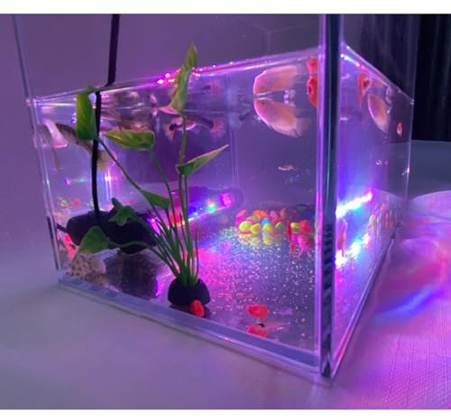 BigTron LED Aquarium Lighting, Waterproof RGB Fish Tank Light Multicolor Underwater Crystal Glass Lights (RGB 28cm)