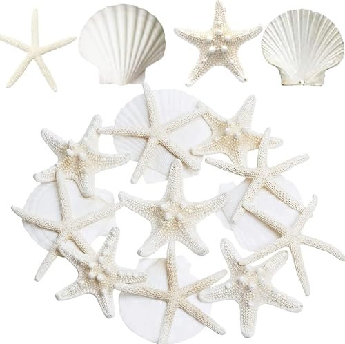 Seesterne und Jakobsmuscheln zum Basteln, 12 Stück, große Muscheln, 7,6–10,2 cm, Muscheln in großen Mengen als Dekoration für Kinder, Strandpartys, Wandmalereien