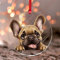 Weihnachtsschmuck 2024 Peeking Französische Bulldogge Acryl Weihnachtsbaum Ornament Bunte Hund Tier Kunst Souvenir Cartoon Lustiges Hunde-Andenken Sammlerstück Geschenk Baumschmuck Strumpf