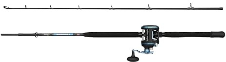 Penn Warfare II Ruten- und Rollenkombination | Allround-Salzwasser-Angelausrüstung | Graphitrahmen | 2 Kugellager | Carbon-Verbundblank | 20-30 lb Schnurklasse | Mehrere Größen