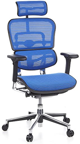 hjh OFFICE 652150 Profi Chefsessel ERGOHUMAN ergonomischer Bürostuhl mit Vollausstattung, Originales Design, Netzstoff Blau