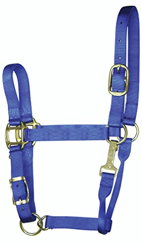 Hamilton 1-Inch Nylon Adjustable Quality Halter with Chin Snap for 500 to 800-Pound Horse, Small, Blue
