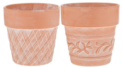 BESPORTBLE Terracotta Flowerpot and Succulent Plant Container 2pcs Carved Red Clay Flower Pots for Desk Plants Indoor Gardening Decorative Planting Random Style