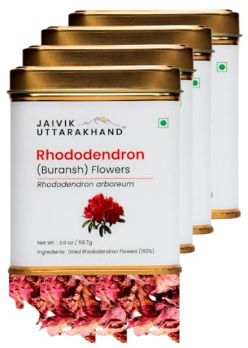 Jaivik Uttarakhand - Herbal Rhododendron (Buransh) Tea, Dried Loose Leaf Helps in Glowing Skin, Spring Season Harvest, Pack of 4 Tin Box (8 oz/226.8 g)