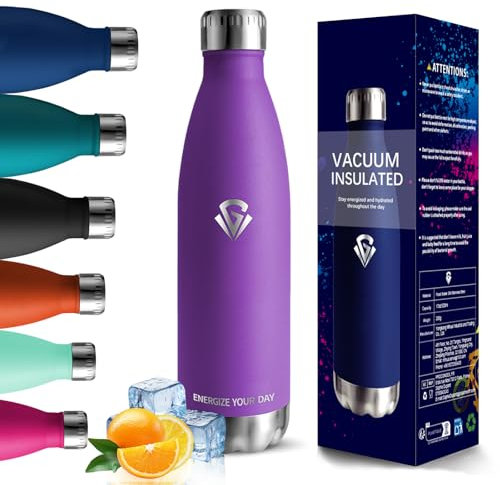 HoneyHolly Gourde Isotherme - 750ML - Gourde Inox sans BPA Sport Étanche, Réutilisable, Bouteille Isotherme, Processus de revêtement en Poudre, Bouteille pour Running, Bureau, École