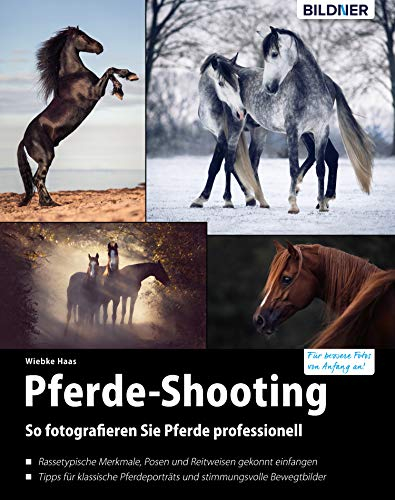 Pferde-Shooting: So fotografieren Sie Pferde professionell