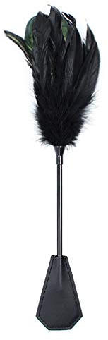 chenyesun Battement en Cuir de Plumes, Fouet Multifonctionnel, pour Performance sur scène, Accessoires de Costume de Cosplay