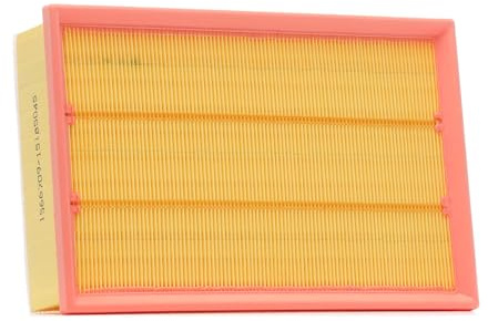 RIDEX 8A1180 Luftfilter mit Vorfilter Kompatibel mit FORD Transit Mk7 Kastenwagen V363, FCD, FDD Transit Mk7 Bus V363, FAD, FBD Transit Mk7 Pritsche/Fahrgestell V363, FED, FFD